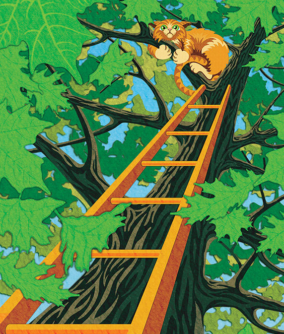 Background illustration of cat stuck up in tree. For inside packaging
